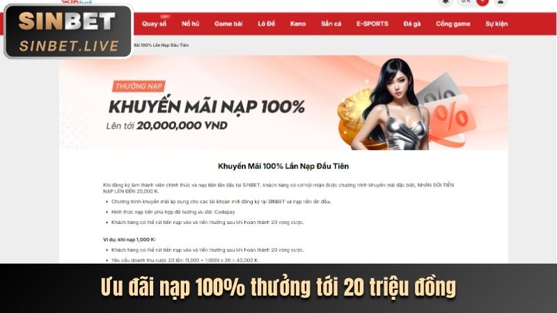 Hình ảnh hoàn trả tiền cược thể thao